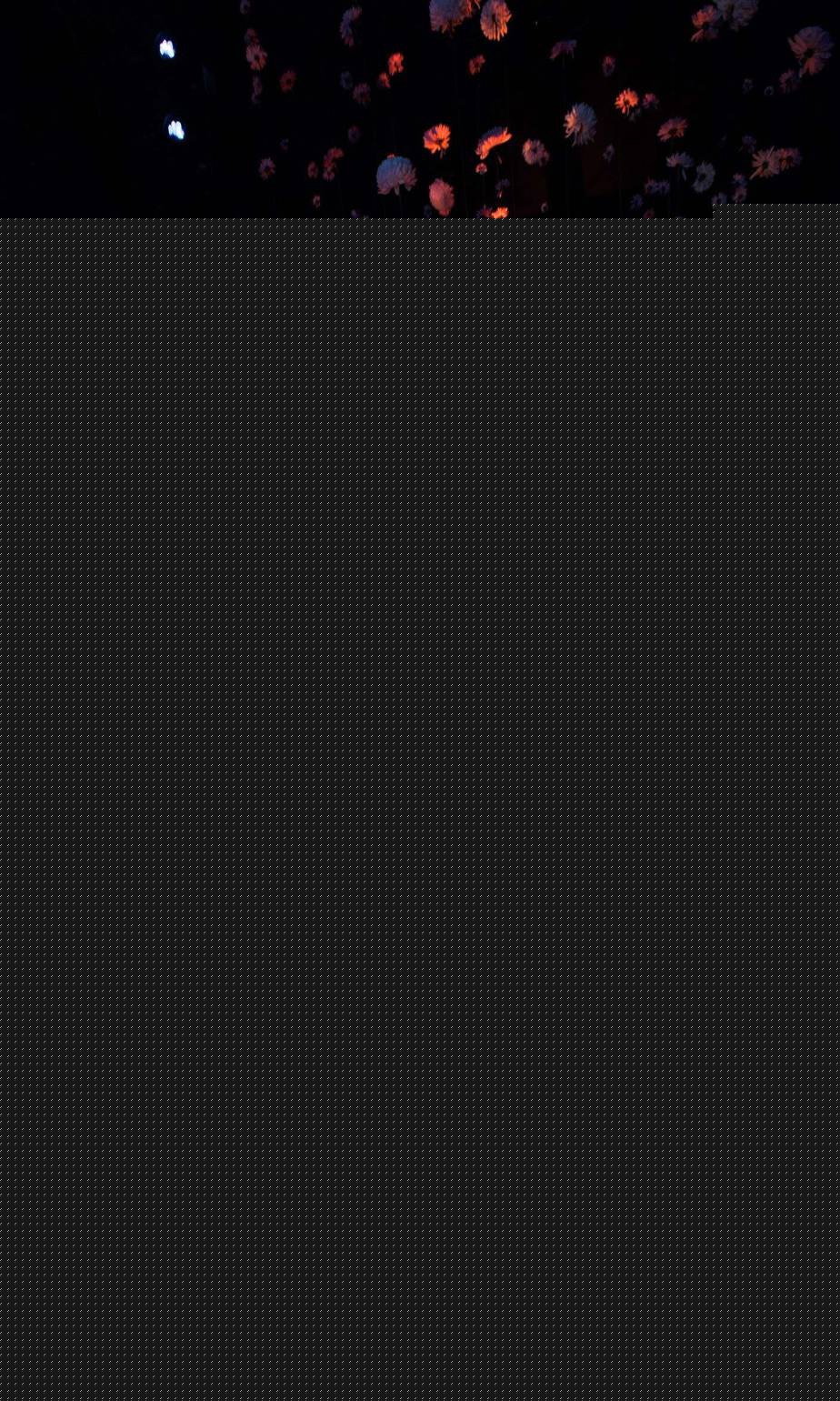 img-25-copyright